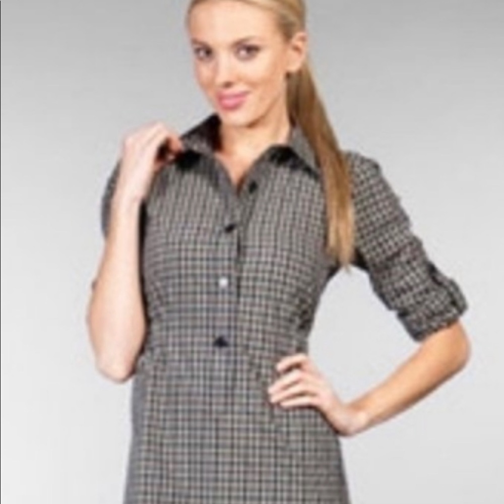 NWOT Theory Dominica Gingham Dress
